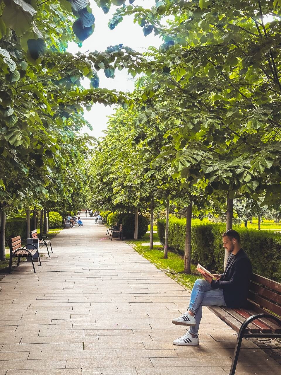 С книгой в парке